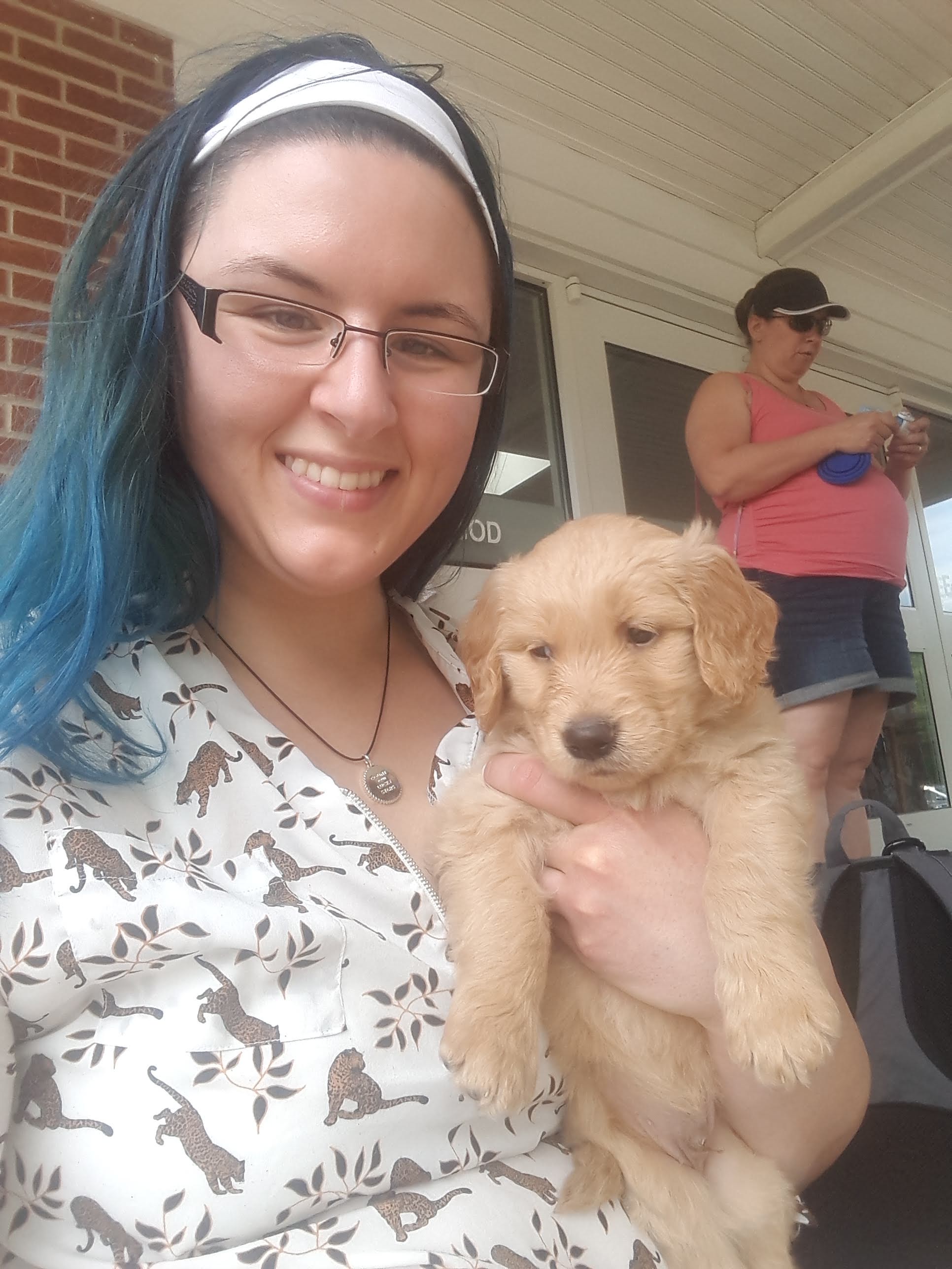 puppy kindergarten