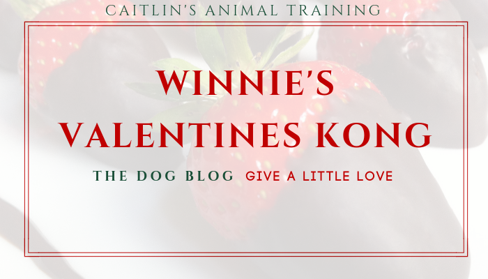 winnie's valentines kong