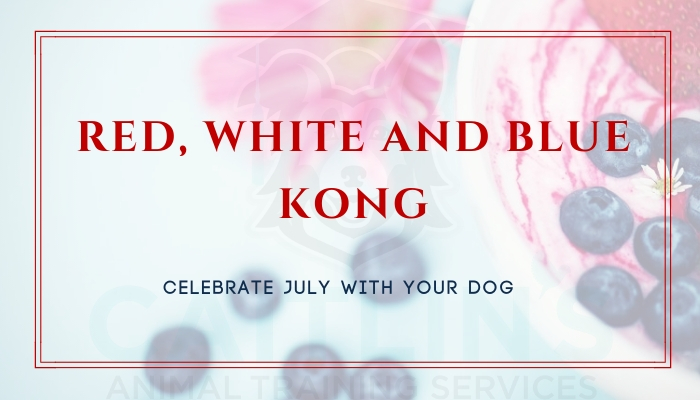 Red, White and Blue Kong