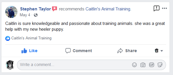 Lehigh valley dog training review