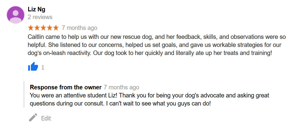 Lehigh valley dog training review