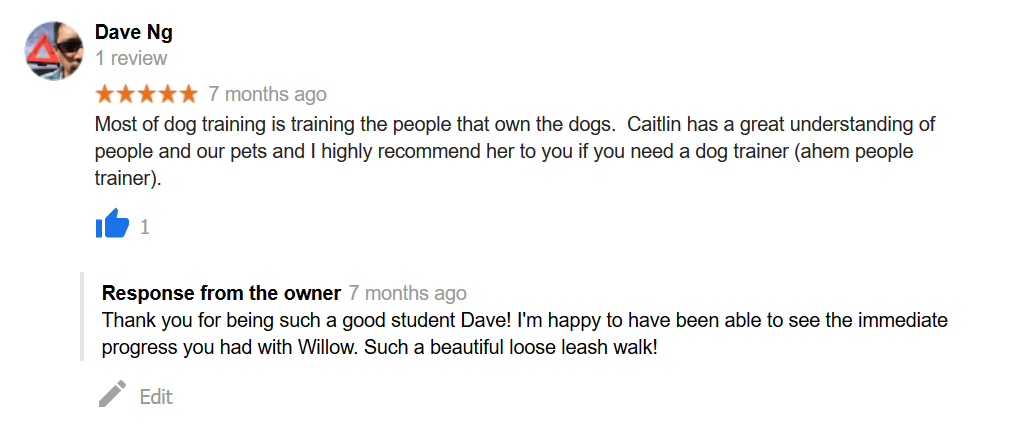 Lehigh valley dog training review
