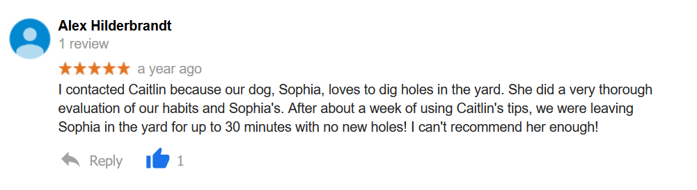 Lehigh valley dog training review