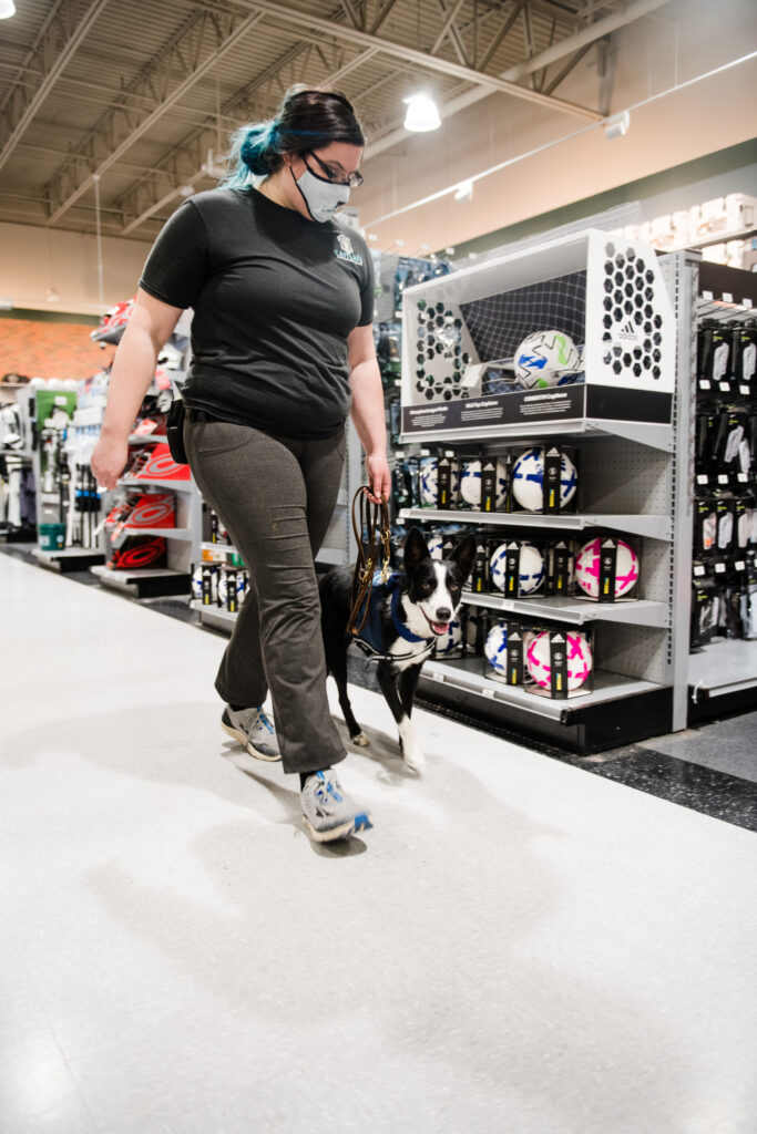 Caitlin walks with her dog, Reiver, in a heel. Help with Leash Pulling Allentown, PA