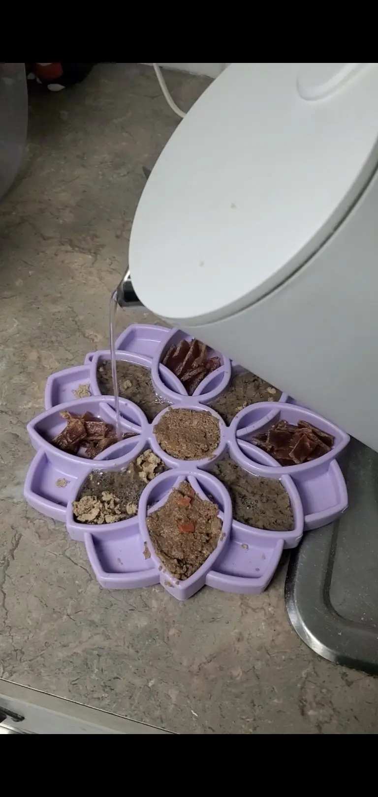 Read more about the article Dog Enrichment Without the Salad